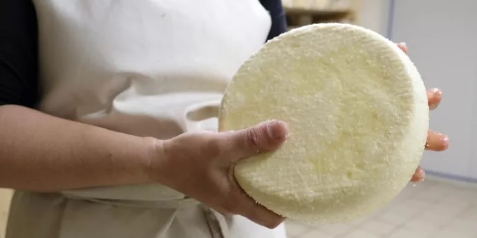 Fromage Artisanal au Maroc : Un Business Gourmand et Rentable