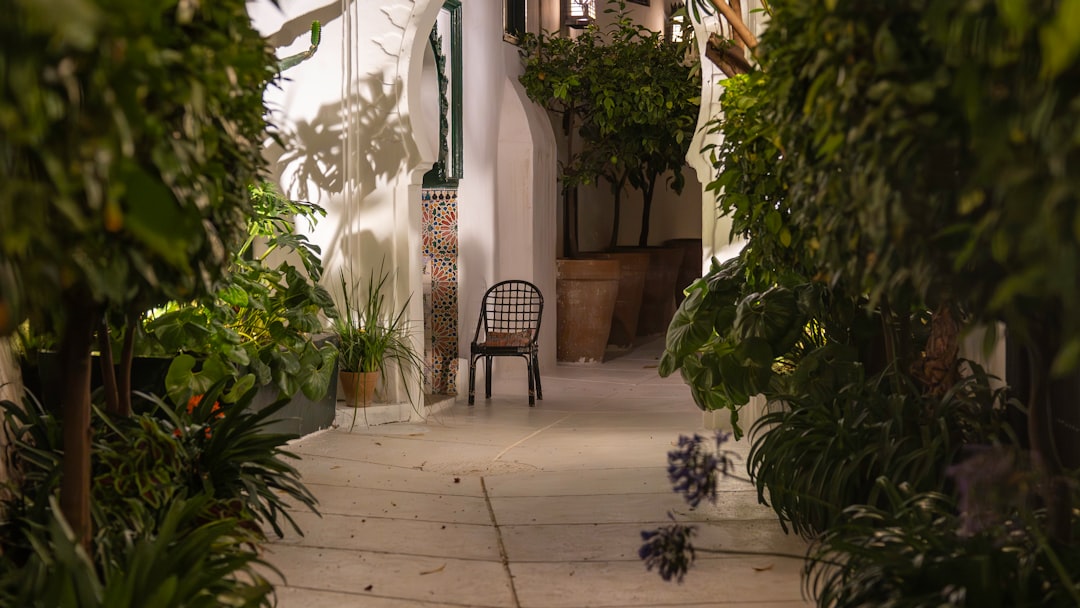 Murs Végétaux pour Restaurants et Riads au Maroc : Projet Rentable 2026